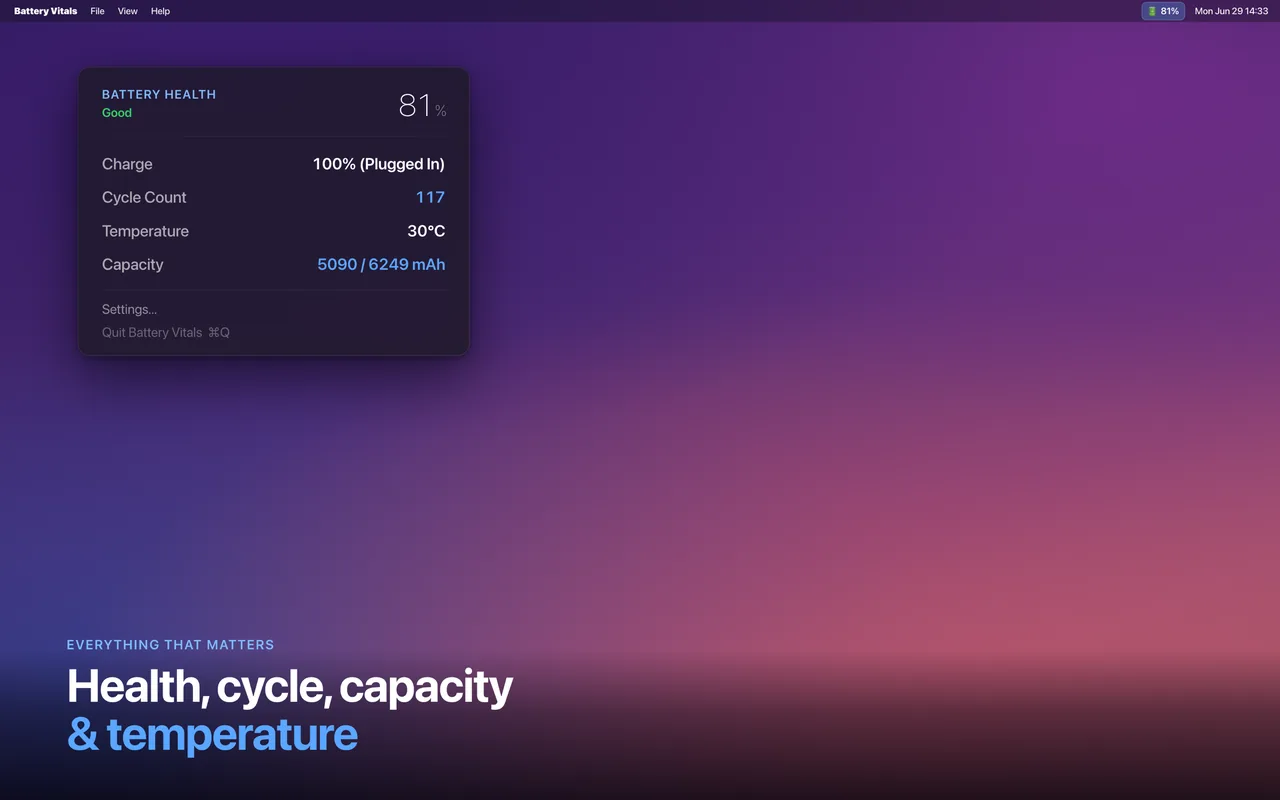 Health, cycle count, capacity, and temperature at a glance