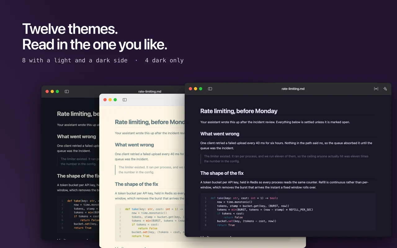 The same document shown in several of Doku's twelve themes, light and dark