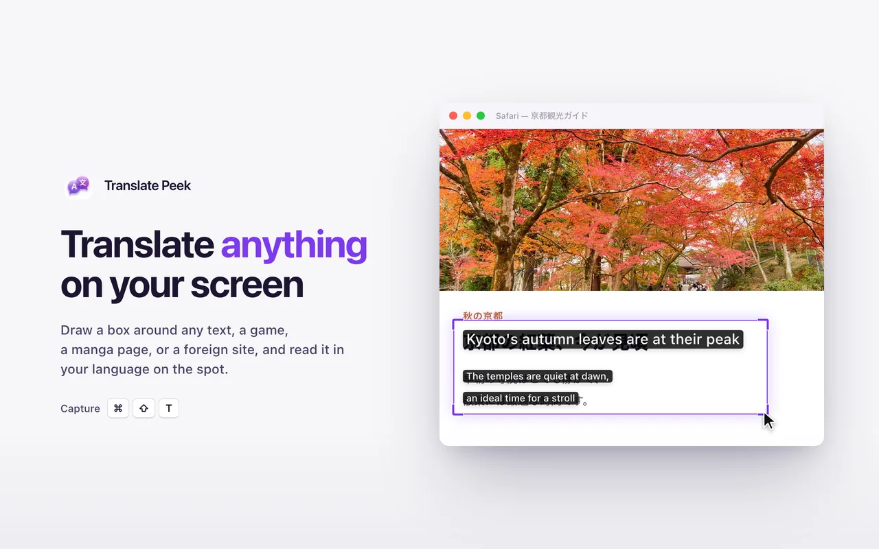 Translate Peek capturing on-screen text by drawing a box around it